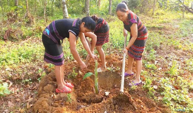 Vùng cao A Lưới nỗ lực giảm nghèo bền vững (12/3/2023)